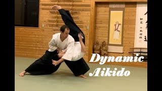 Dynamic Aikido Practice in Sendai [upl. by Nena223]