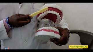 SANTE  COMMENT BROSSER LES DENTS [upl. by Creight]