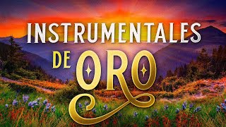 Musica Instrumental de Oro Para Escuchar  30 Grandes Exitos Instrumentales [upl. by Buchalter]