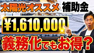 【知らないと大損】2025年の太陽光パネル設置義務化で貰える補助金がお得すぎる！【蓄電池・V2H】 [upl. by Irbua]