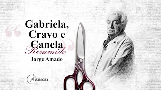 Resumo Gabriela Cravo e Canela  Jorge Amado  Audioresumos de Livros [upl. by Lilybel]