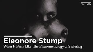 The Limits of Theodicy Eleonore Stump [upl. by Ana832]