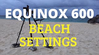 Our Beach Settings for the Minelab Equinox 600 Beginners Guide [upl. by Kantos711]