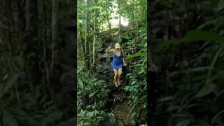 Trilha da Prainha Itacaré BA viagem shorts shotsvideo [upl. by Curtice]