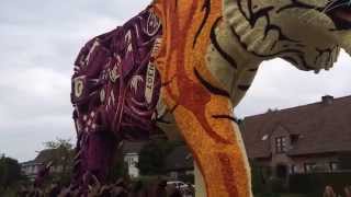 Loenhout Bloemencorso Sfeerbeelden 2015 [upl. by Naujtna114]