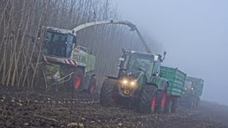 Holzhäckseln mit Claas Jaguar [upl. by Othe912]