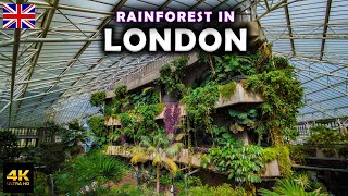 Guide to Barbican Centre in London 🇬🇧 Huge Garden at Barbican Conservatory [upl. by Rocray245]