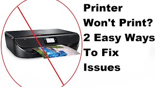 HP Printer Wont Print 2 Simple Ways To Fix Printer Issues [upl. by Herculie680]