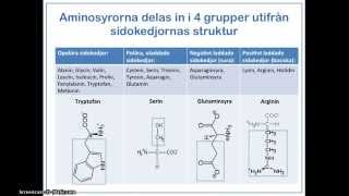 Proteinernas uppbyggnad funktion och indelning [upl. by Housum]