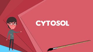 What is Cytosol Explain Cytosol Define Cytosol Meaning of Cytosol [upl. by Kei]