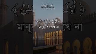 shortsfeedislamicvideo shortvideoইসলামিকভিডিও quranrecitation কুরআনতিলাওয়াতআলোকিতজীবন [upl. by Mullane]