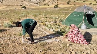 Amirs daughter started building a nomadic house [upl. by Wallraff891]