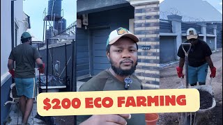 200 Eco Farming in my Compound Abuja Nigeria [upl. by Nanny]