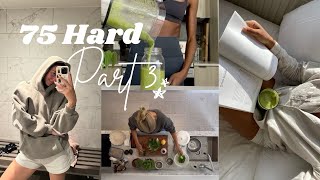 75 hard ep 3  workouts what I eat in a day healthy habits [upl. by O'Mahony]