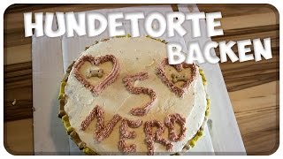 Geburtstagstorte für den Hund Hundekuchen backen mit Rezept Hundetorte Tipps [upl. by Hoang]