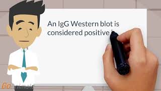 Describe a positive western blot for Lyme disease [upl. by Afas]