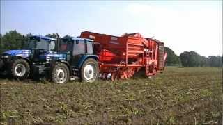 Potatoe Harvest 2012  New Holland 6640  Grimme DR1500 [upl. by Koser]