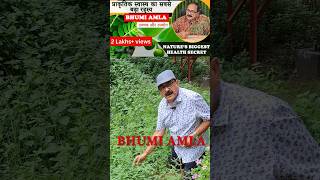 Bhumi Amla ke Chamatkari Fayde  Boost Your Health Naturally [upl. by Devora444]