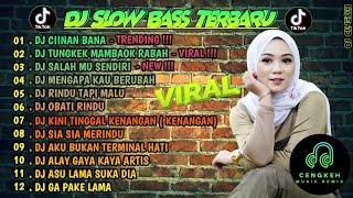 DJ SLOW FULL BASS TERBARU 2024 🌾DJ CIINAN BANA • DJ SALAHMU SENDIRI • VIRAL [upl. by Winters]