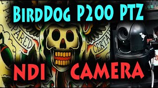 Why a PTZ for Podcasting  My new BirdDog P200 NDI camera [upl. by Hooge461]