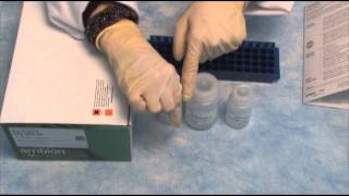 Isolate RNA with the PureLink™ RNA Mini Kit qPCR step 2 [upl. by Rennat]