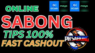 ONLINE SABONG TIPS [upl. by Li]