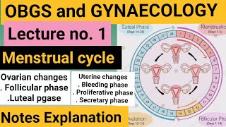 Menstrual cycle OBG and Gynaecology in Hindi  Bsc Nursing Medicos [upl. by Aisad417]