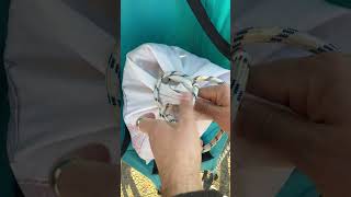 Bag and Sack Tying Techniques with Rope knottying [upl. by Nele]