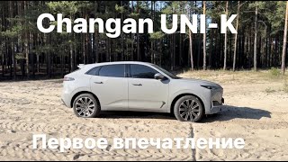 Changan UNIK первое впечатление Чанган юник  реальный отзыв владельца 2023 год [upl. by Nathan]