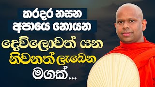 කරදර නසන අපායෙ නොයන දෙව්ලොවත් යන නිවනත් ලැබෙන මගක්  Venerable Welimada Saddaseela Thero [upl. by Karas424]