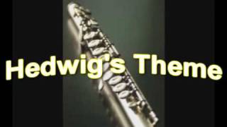 Harry Potter  Hedwigs Theme  Flute and Keyboard [upl. by Kerby]