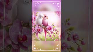 Love is in the Air Sweet Love Birds shorts viralvideo trending love [upl. by Quintina145]