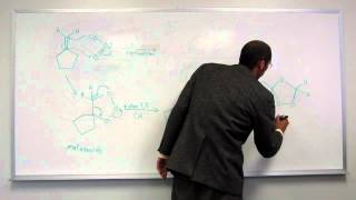 Ozonolysis of an Alkene  Reductive WorkUp 001 [upl. by Elfstan]