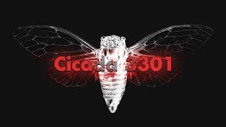 Cicada 3301 An Internet Mystery [upl. by Keelby]