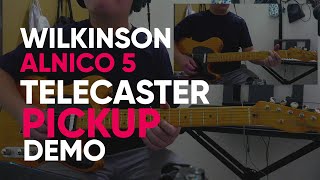 Partcaster Tele  Wilkinson WVT Alnico 5 Telecaster Pickup Demo [upl. by Albers]