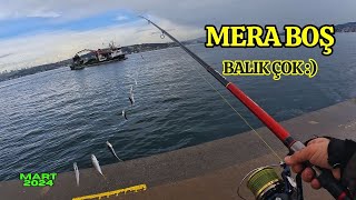 KİMSE YOK BALIK ÇOK  BOĞAZDA TEK BAŞIMA İSTAVRİT AVI fishing balıkavı istanbul [upl. by Analem]