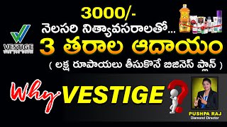 vestige  why Vestige  Pushpa Raj DD MAHESHPVR motivation vestigebusinessplan [upl. by Zindman]