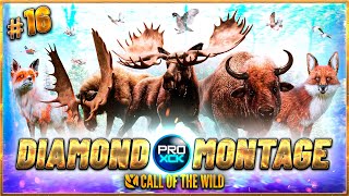 Diamond and Rare Montage 16  the Hunter Call of the Wild [upl. by Nikolai]