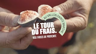 Grand Frais  Le Tour du Frais avec Jean producteur de figues [upl. by Luhar305]