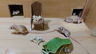 Cat Tv  Mice Games for Cats To Enjoy  10 Hours Mice Fun Video For Cats [upl. by Amikay]