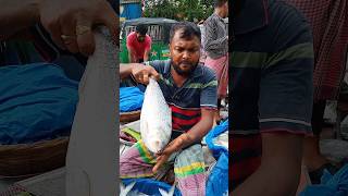 হঠাৎ সস্তায় বিক্রি হচ্ছে ইলিশ দেখুন দর্শক shortsfeed fish price today [upl. by Peder]