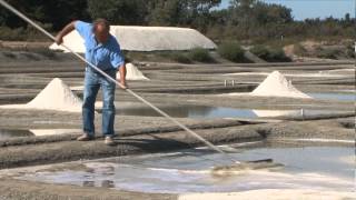 Le sel de mer de Noirmoutier des beurres Grand Fermage [upl. by Dollar]