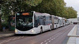 Des bus Réseau ASTUCE à Rouen Elbeuf et SottevillelèsRouen le 300924 [upl. by Tteirrah]