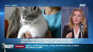 quotTout ce quessaient de nous dire les chatsquot une vétérinaire décrypte le comportement félin sur RMC [upl. by Eyanaj901]