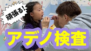 【この時期に💦】たねちゃんアデノに感染しました😭 [upl. by Borlase]