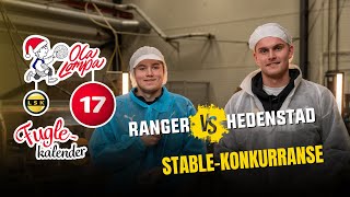 Fuglekalender 17 Ranger vs Hedenstad  Stablekonkurranse [upl. by Dessma]