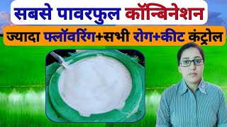 सबसे अच्छा टॉनिक फंगीसाइड कीटनाशक कॉन्बिनेशन  Best Fungicide Insecticide tonic combination [upl. by Celtic871]