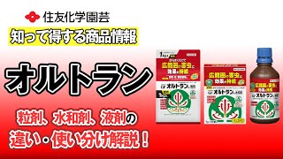 粒剤、水和剤、液剤の違い・使い分け解説！～知って得する商品情報（オルトラン）～ガーデンドクターTV84 [upl. by Adran]