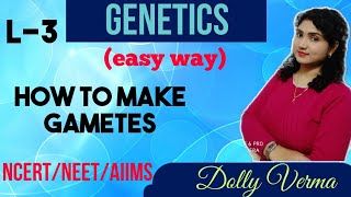 Lecture3 How to make gametes Genetics chapter5 principles of inheritance [upl. by Lune739]