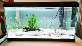 NEW AQUARIUM  CIANO AQUA 60 LITRE FISH TANK UMBOXED AND STOCKED [upl. by Lotsyrc152]